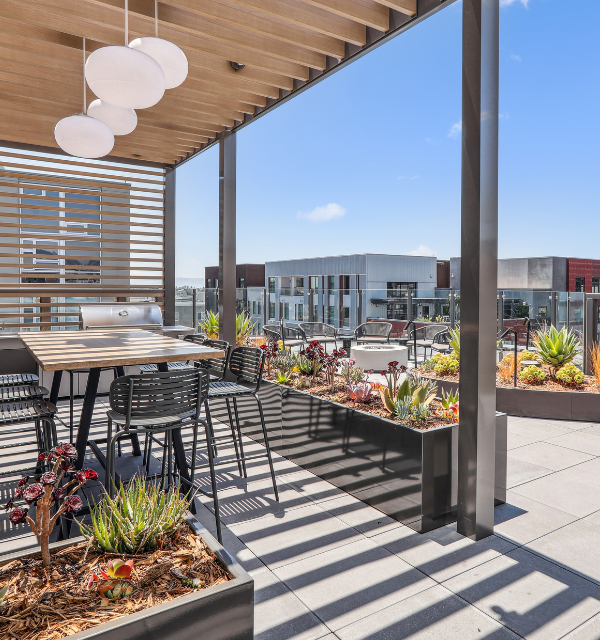 Grubb Properties Opportunity Zone legislation