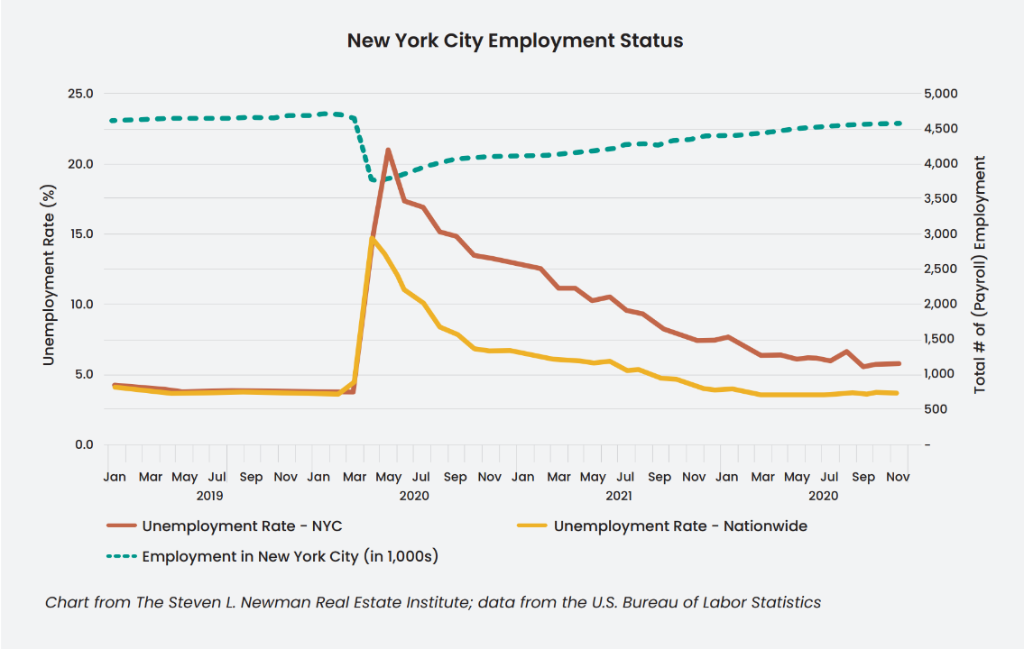 New York Employment Status